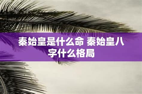 秦始皇八字|秦始皇